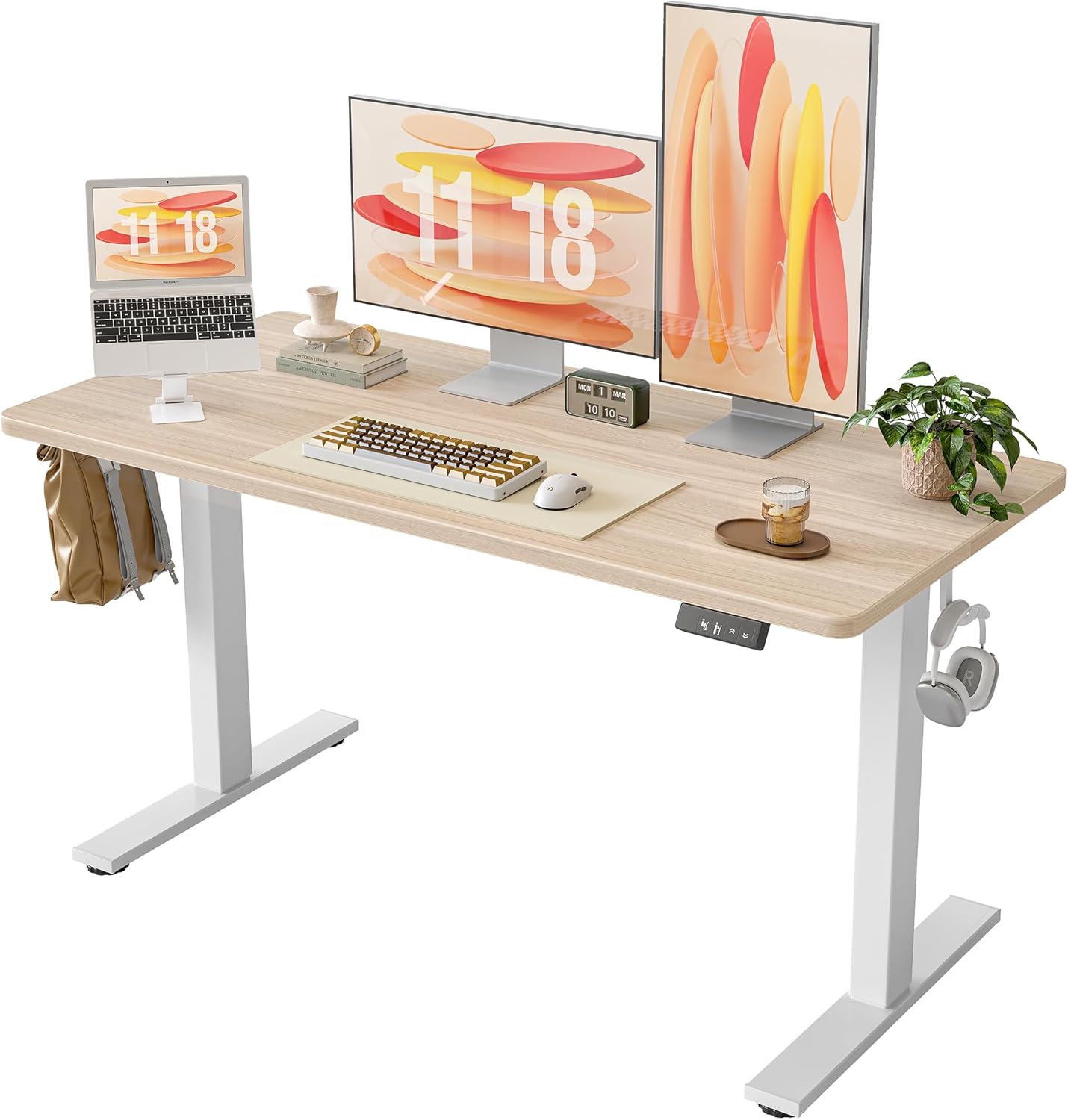 TIQLAB Electric Standing Desk 55 in Adjustable Height for Home Office