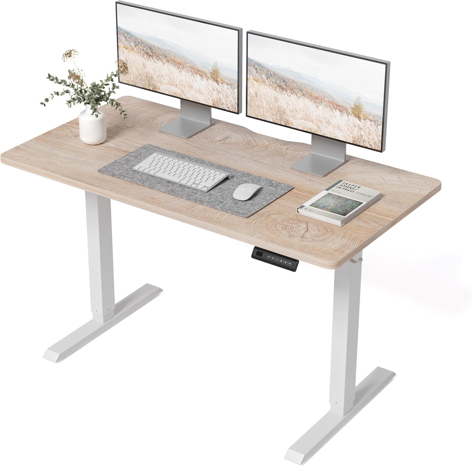 BANTI 48 24 Inches Electric Height Adjustable Standing Desk