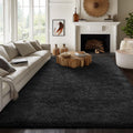 Ophanie Upgrade 6x9 Rugs for Living Room, Soft Plush Shag