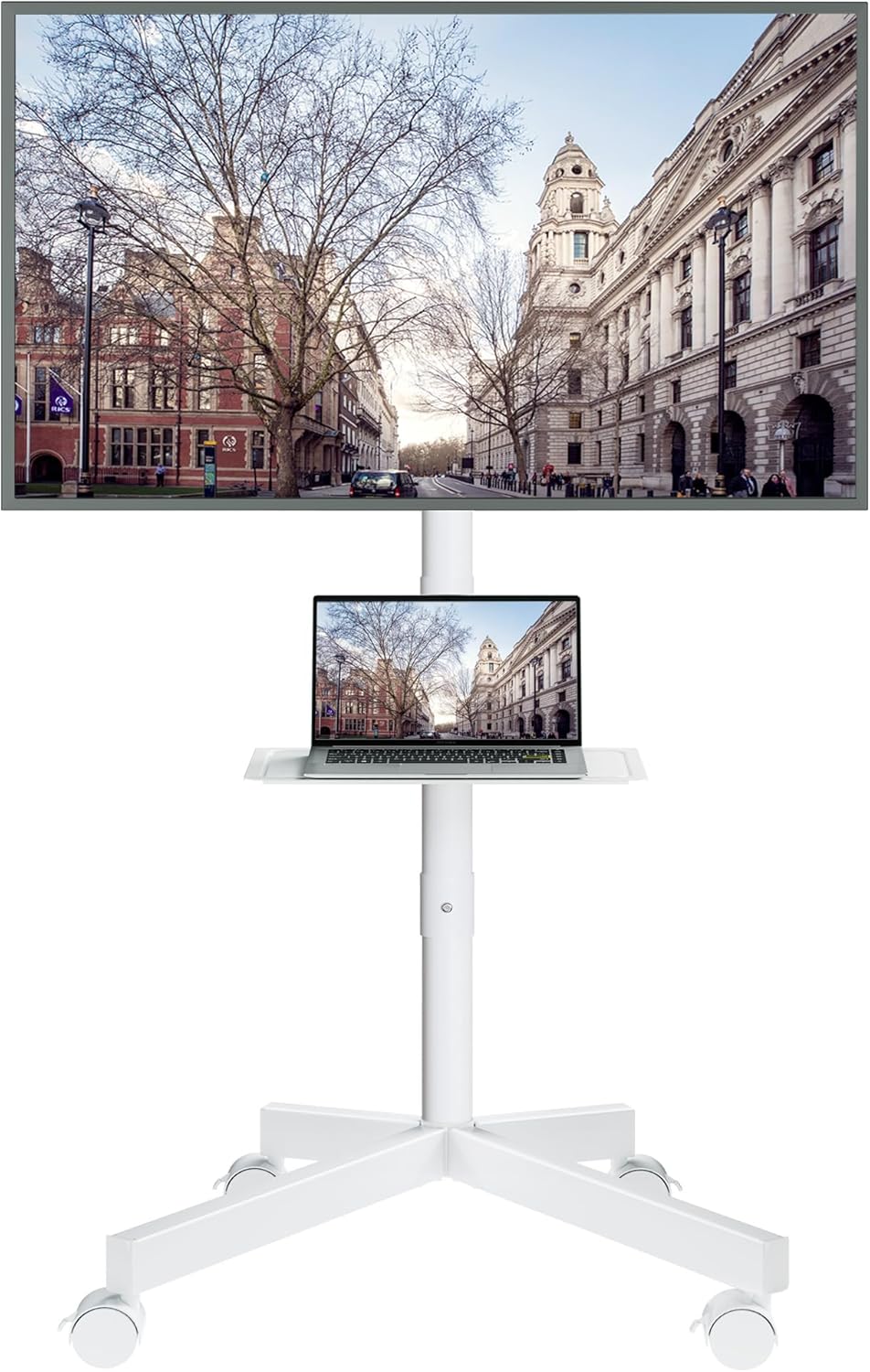 BONTEC Mobile TV Stand for 23-60 in TVs with Tilt Function