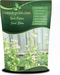 Outsidepride Buckwheat Seeds 50lbs - Fast-Growing Cover Crop
