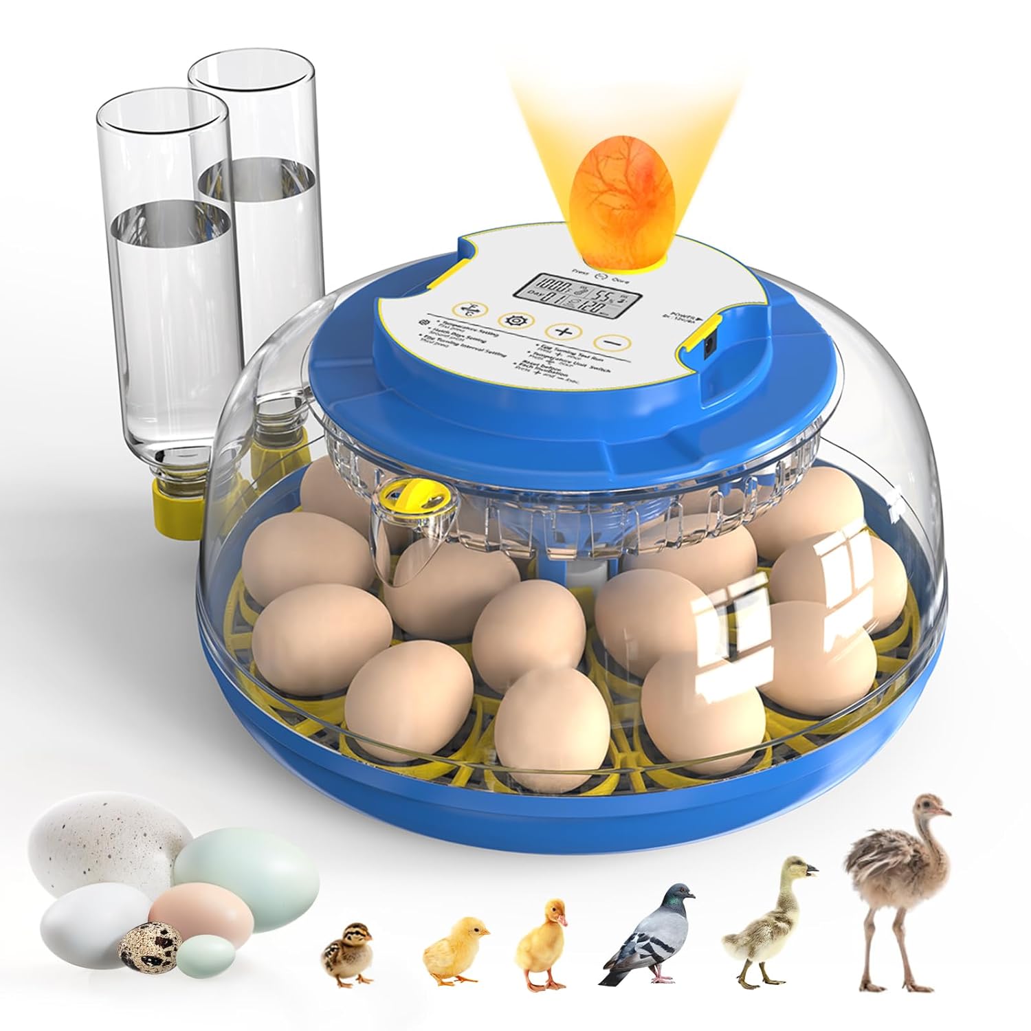 18 Egg Incubator with Automatic Turner for Hatching Success