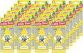 LITTLE TREES Car Air Freshener Vanillaroma 24 Pack - Rich Vanilla