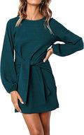 PRETTYGARDEN Womens Fall Lantern Sleeve Short Dress - Tie