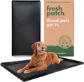 Fresh Patch XL Plastic Tray for 2 ft x 4 ft Grass Patch - Stable