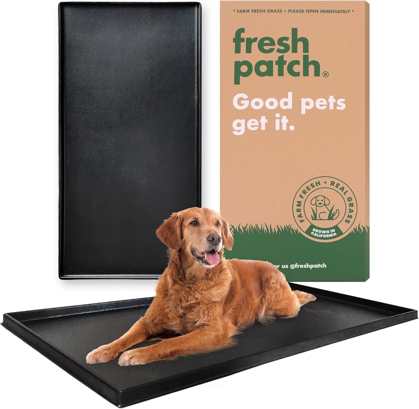 XL Dog Potty Tray for Indoor and Outdoor Use - Fresh Patch