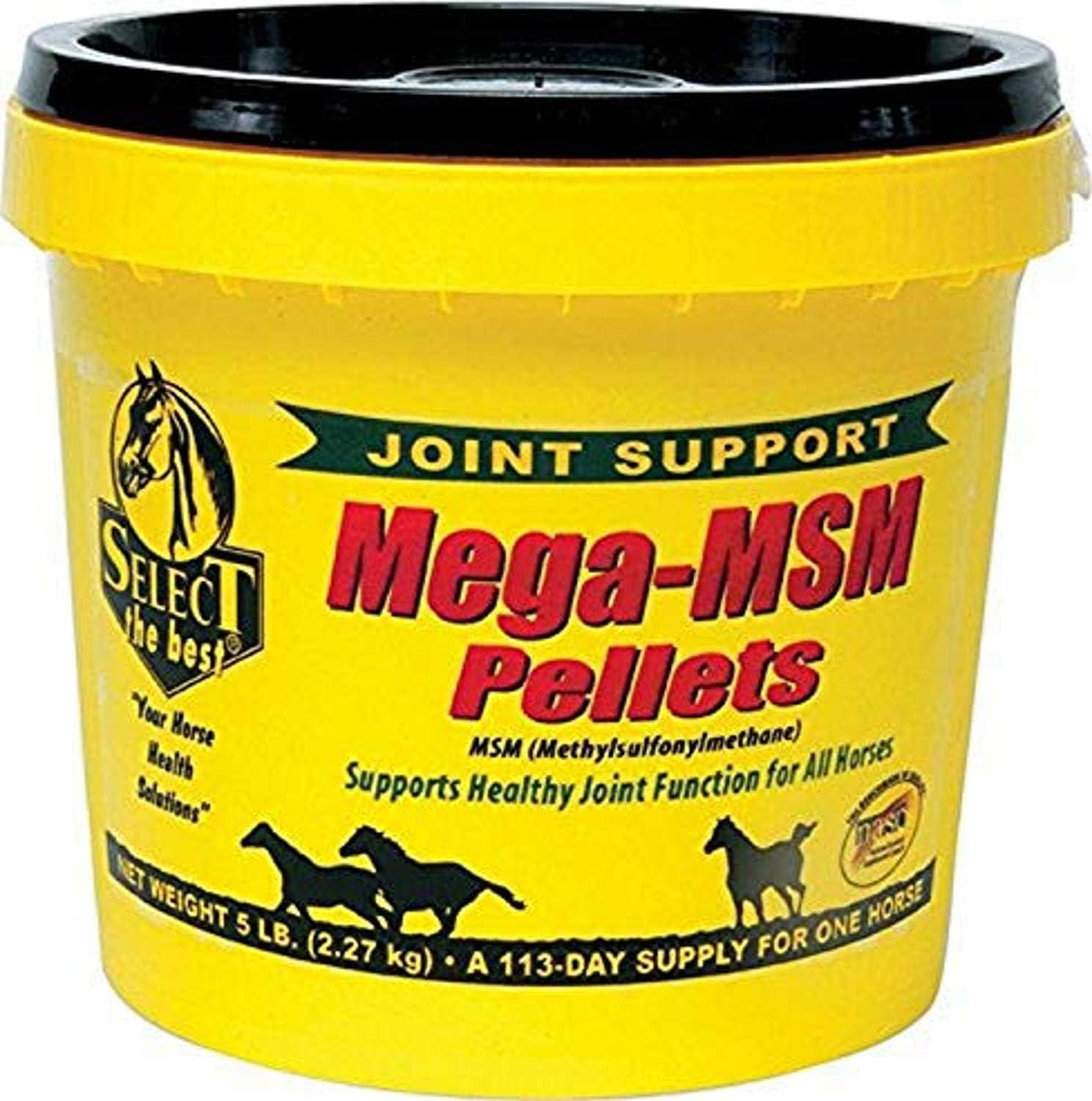 MegaMSM Pellets for Horses - Premium Joint Support Formula