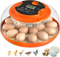 Egg Incubator with Automatic Egg Turning and Humidity Control - 18