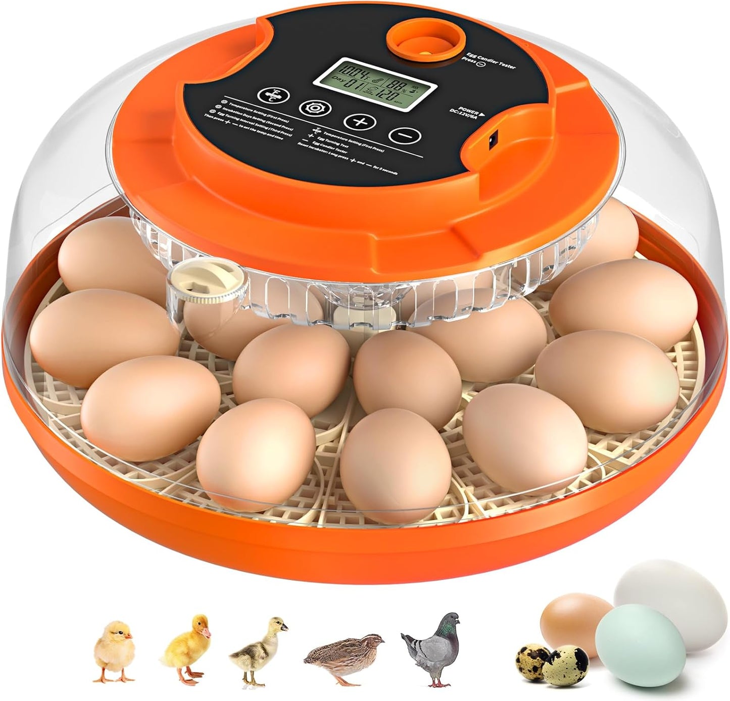 Egg Incubator with Automatic Turning and Humidity Control