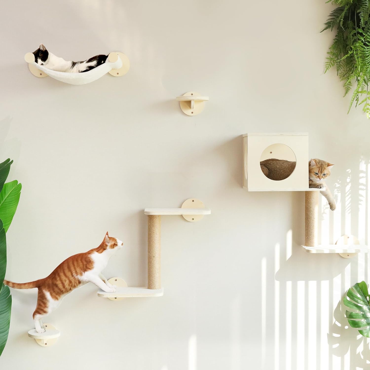 FUKUMARU Cat Wall Shelves - 5-Piece Wooden Climber Set