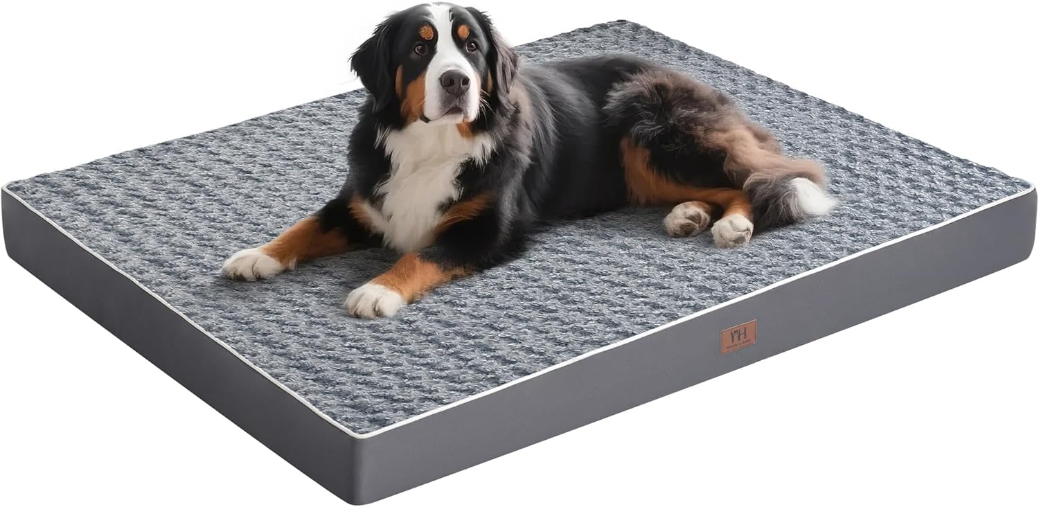 Orthopedic Extra Large Dog Bed for Jumbo Dogs with Comfort