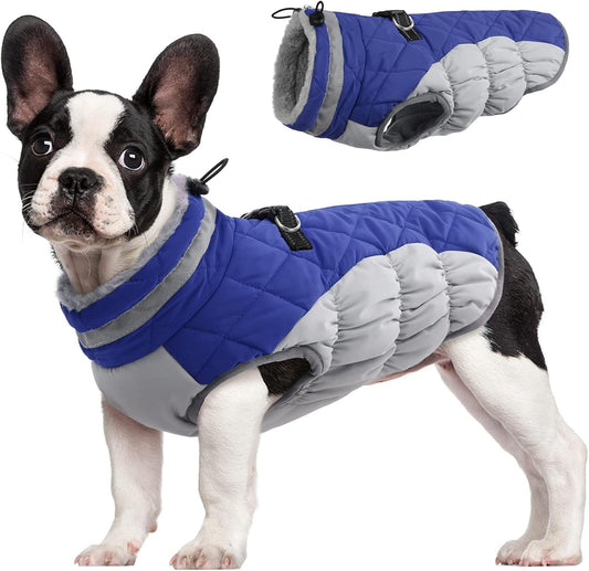 FUAMEY Waterproof Dog Winter Jacket for Medium Dogs - Blue M