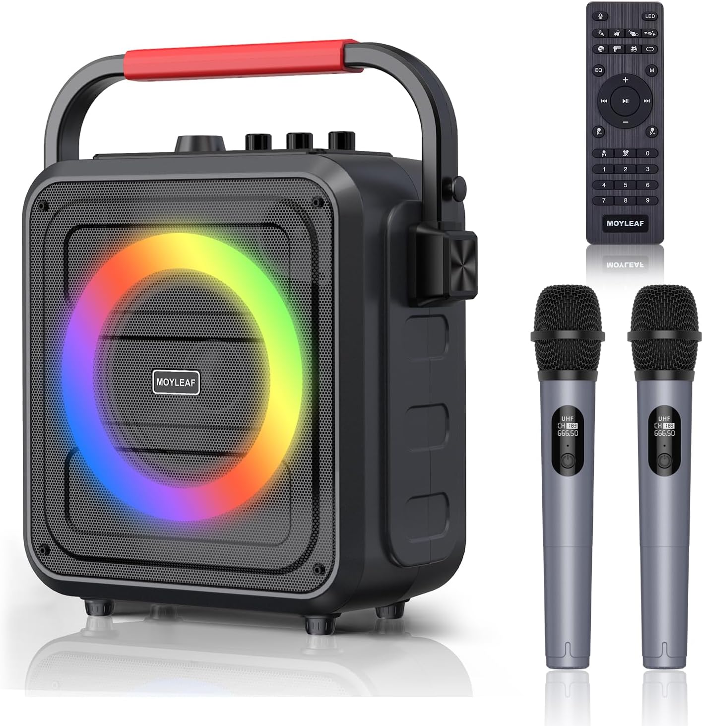 Portable Bluetooth Karaoke Speaker with 2 Mics & Lights - Fun for All Ages!