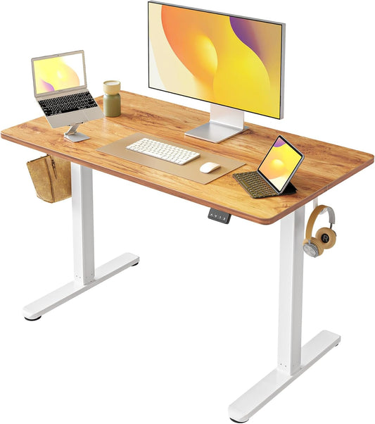 FEZIBO Electric Standing Desk Adjustable Height for Home Office
