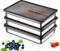 Hommiya Stainless Steel Food Storage Containers Set