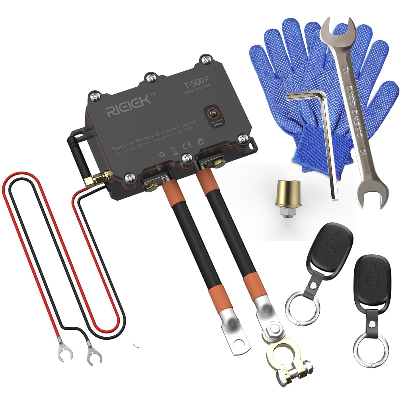 RIEIEK Automotive Battery Disconnect Switch with Remote Control