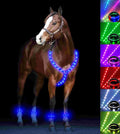 LED Horse Breastplate Collar & Leg Band - 7 Colors Rechargeable