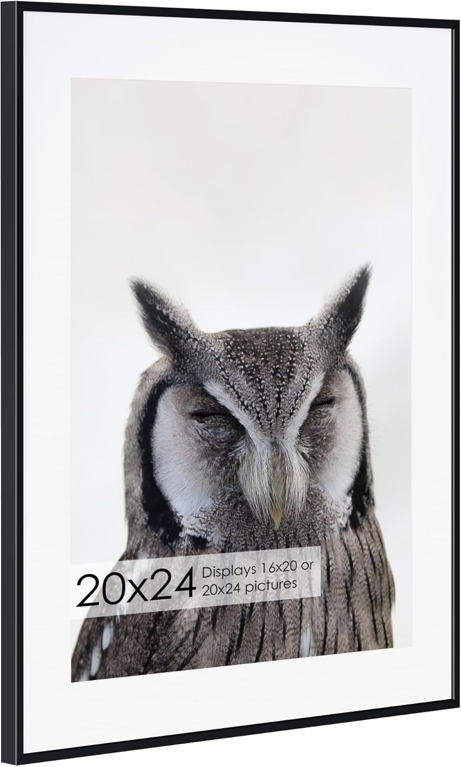 20x24 Metal Picture Frame with Mat for Stunning Displays