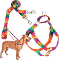 Freedom No-Pull Harness & Training Leash for Large Dogs - No Pulling