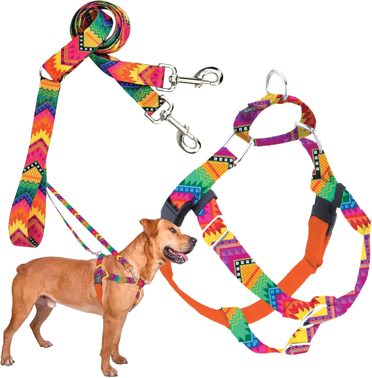 Freedom No-Pull Harness & Training Leash for Large Dogs