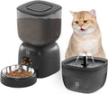 Automatic Cat Feeder with 3L Food & 2L Water Fountain - Black
