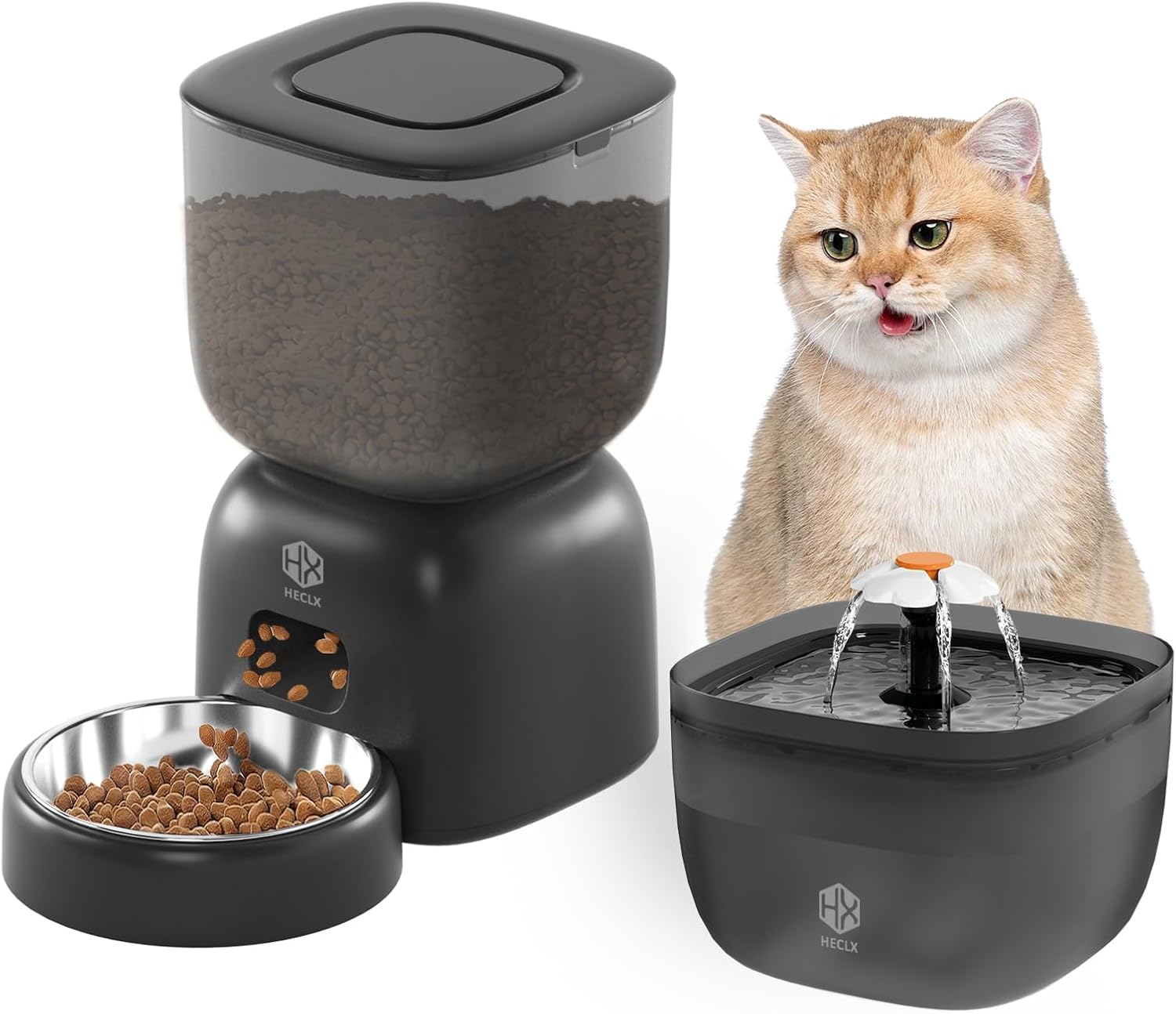 Automatic Cat Feeder with 3L Food Dispenser and Water Fountain