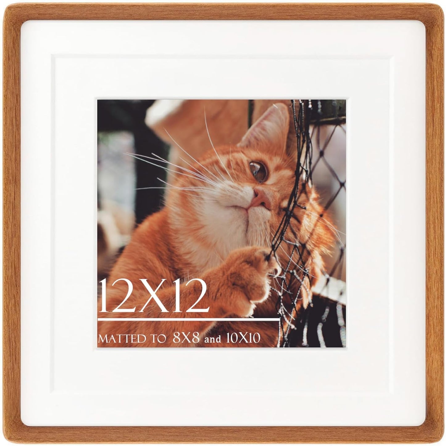 12x12 Square Picture Frame in Natural Teak Wood for Display