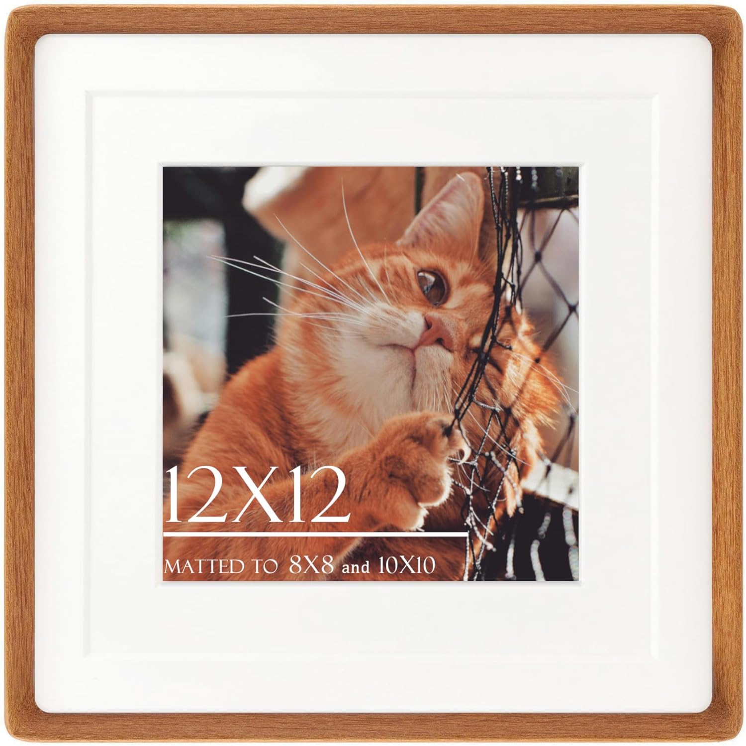 12x12 Square Picture Frame in Natural Teak Wood for Display