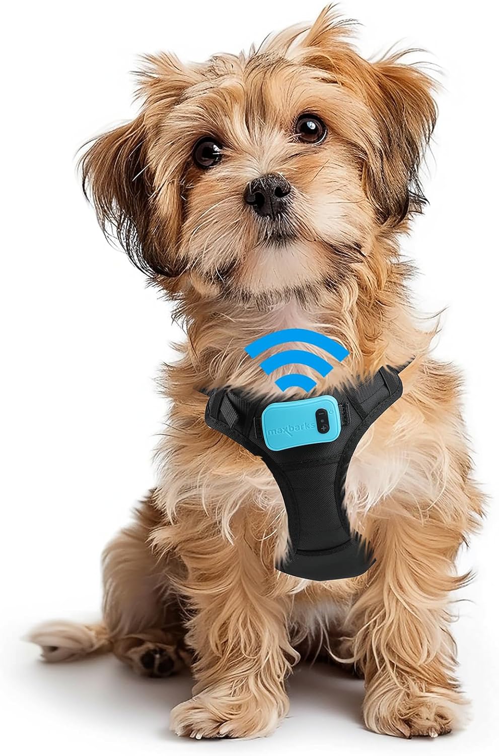 Bark Control Training Vest for Small Dogs - Gentle No Barking Device