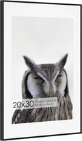 20x30 Metal Picture Frame with 16x24 Mat - Brushed Aluminum Finish