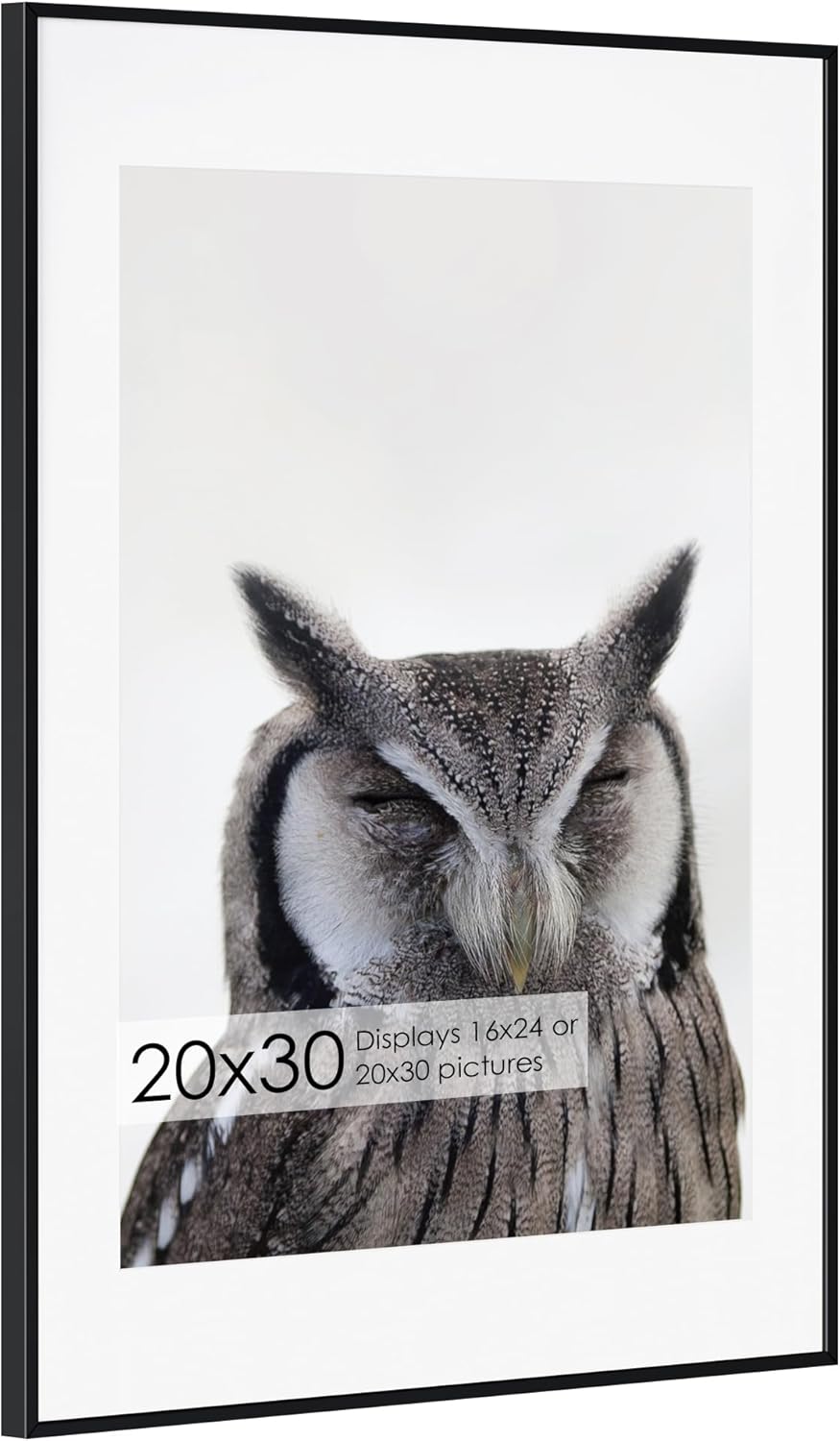 20x30 Metal Picture Frame with Mat and Tempered Glass Front