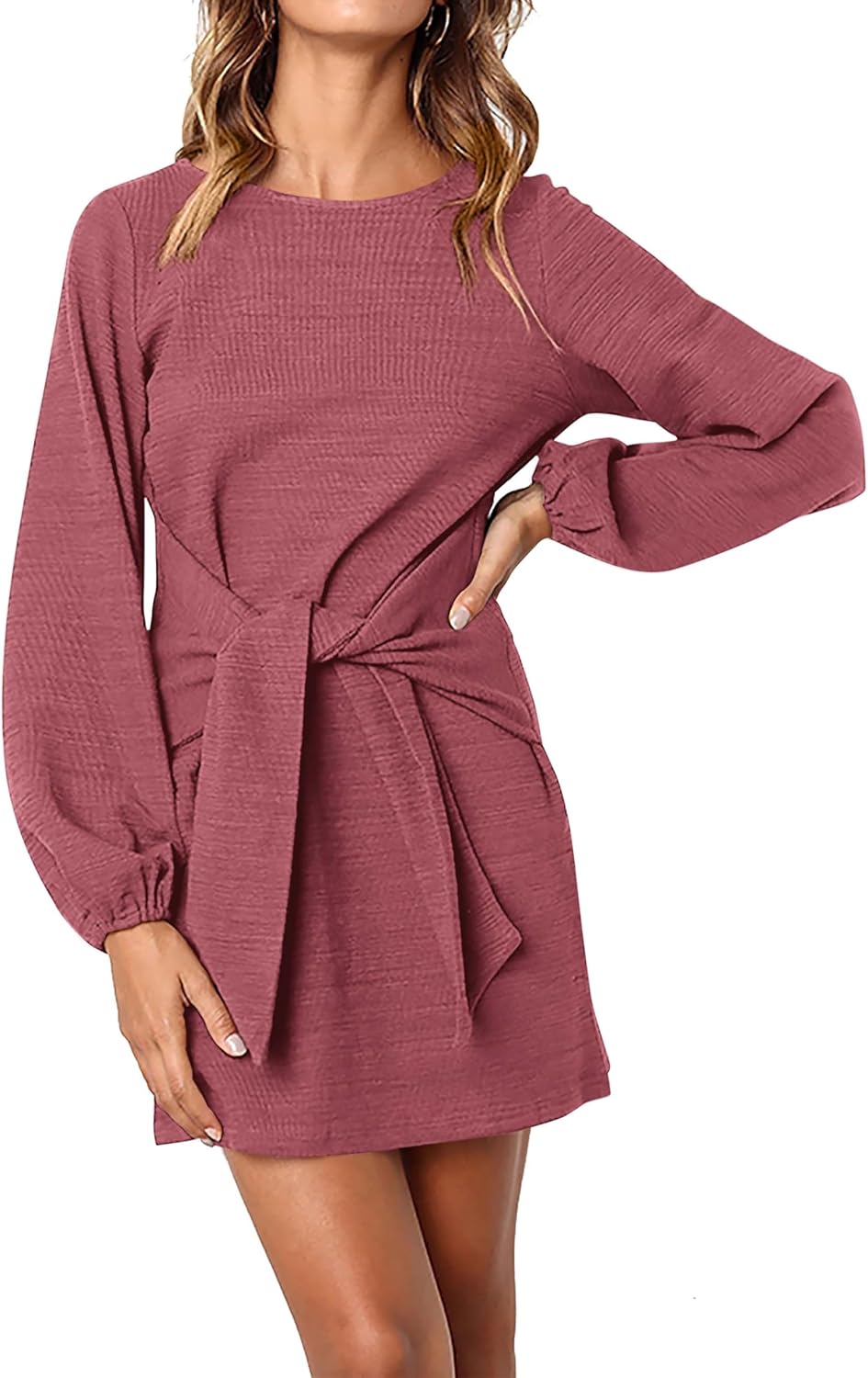 PRETTYGARDEN Womens Fall Elegant Long Sleeve Short Dress