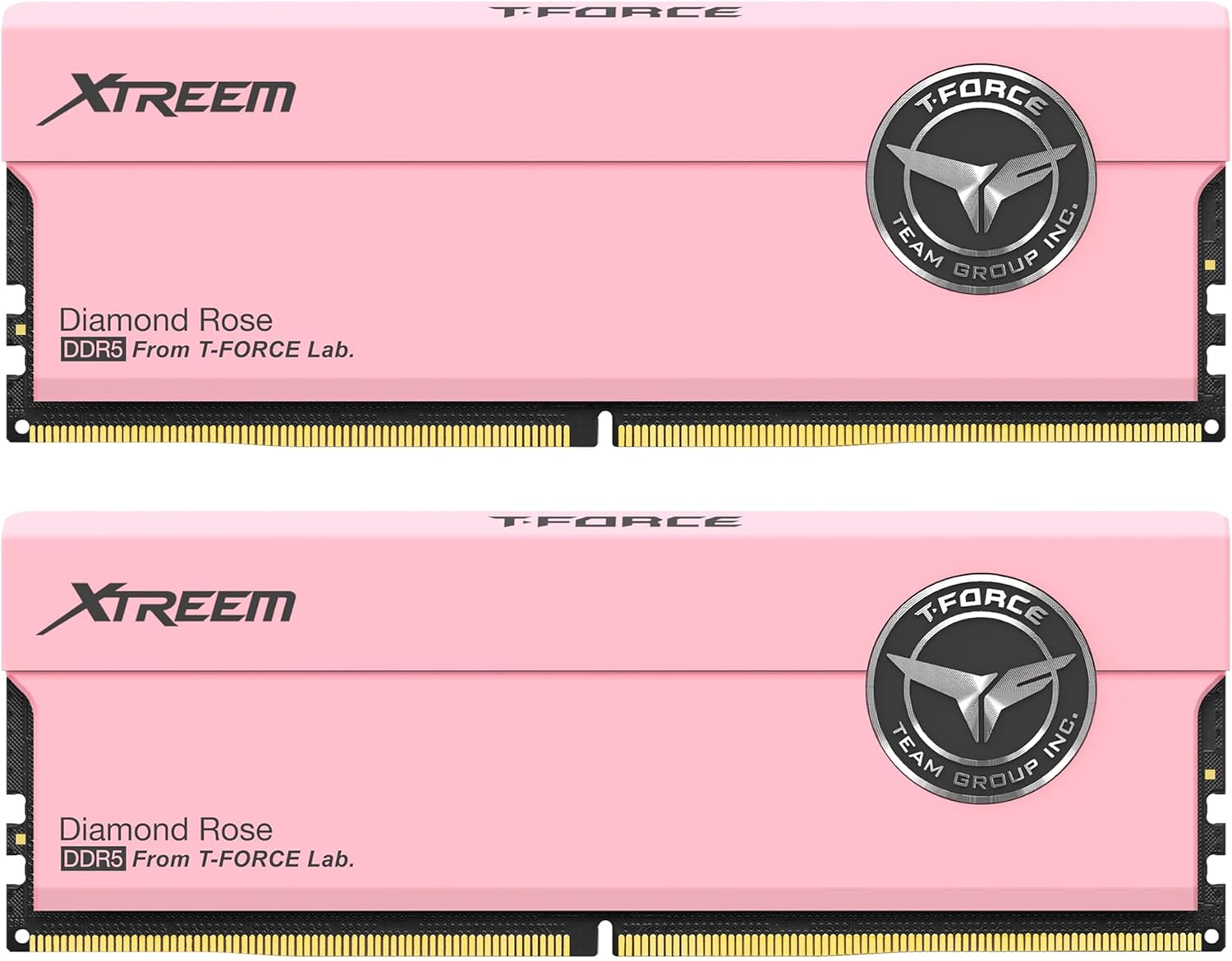 TEAMGROUP T-Force XTREEM DDR5 Ram 32GB 7200MHz for Gaming