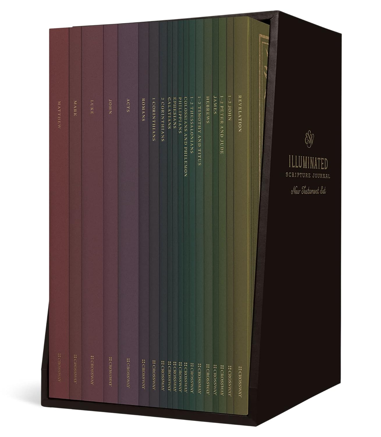 ESV Illuminated Scripture Journal New Testament Set for Reflection