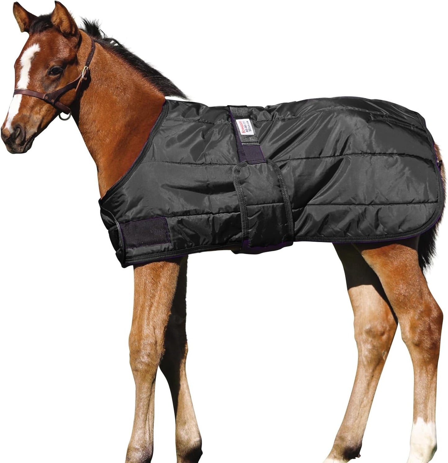 Schneiders 420D Foal Stable Blanket | Expandable & Durable