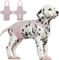 Dog Diaper Suspenders Female Striped Sanitary Pantie - Comfortable