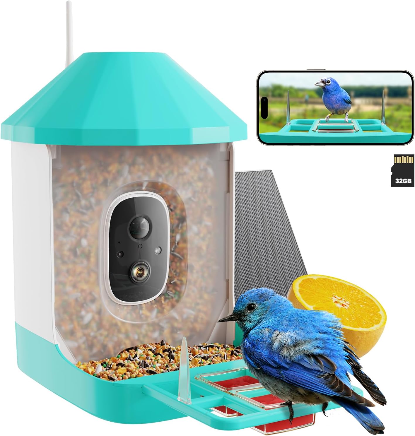 Smart Bird Feeder Camera with AI & Solar Power