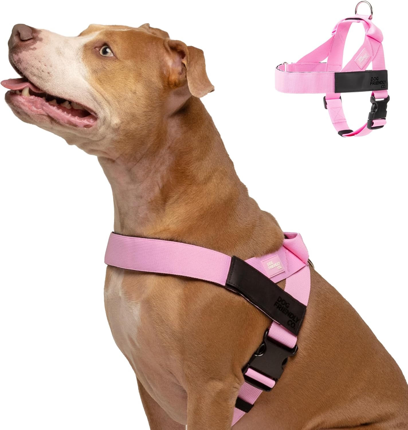 DF Co. Dog Harness - Adjustable, Comfortable, Heavy Duty Design