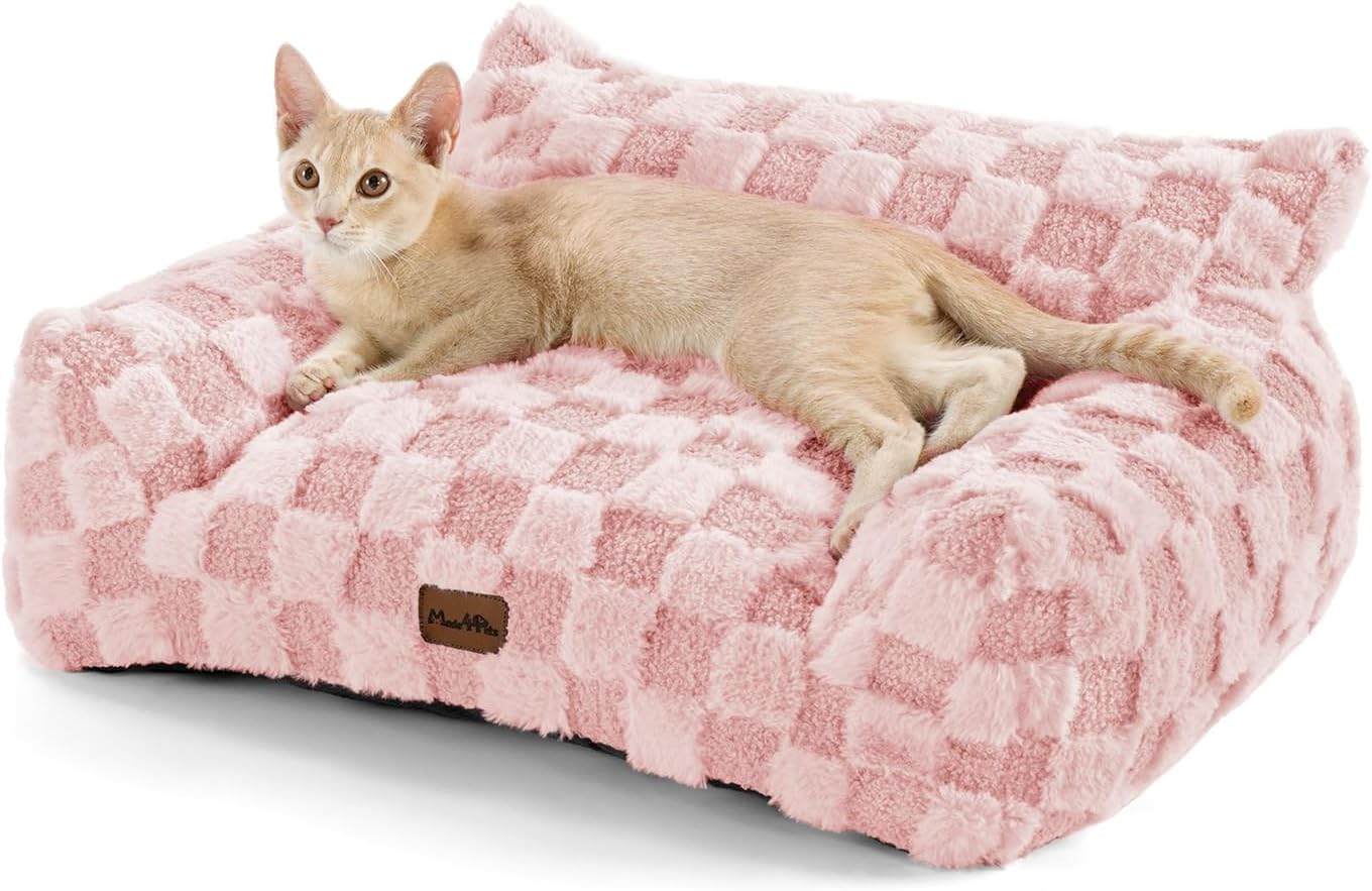 Comfortable Cat Couch Bed for Indoor Cats and Kittens