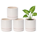 D'vine Dev Small Ceramic Plant Pots Set of 4 - Minimalist Succulent