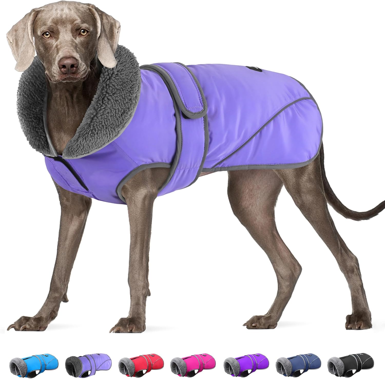 Dogcheer Dog Coat for Cold Weather - Waterproof and Warm Jacket