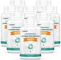 Liposomal NAD+ Supplement 500 mg with TMG 250 mg - High Absorption