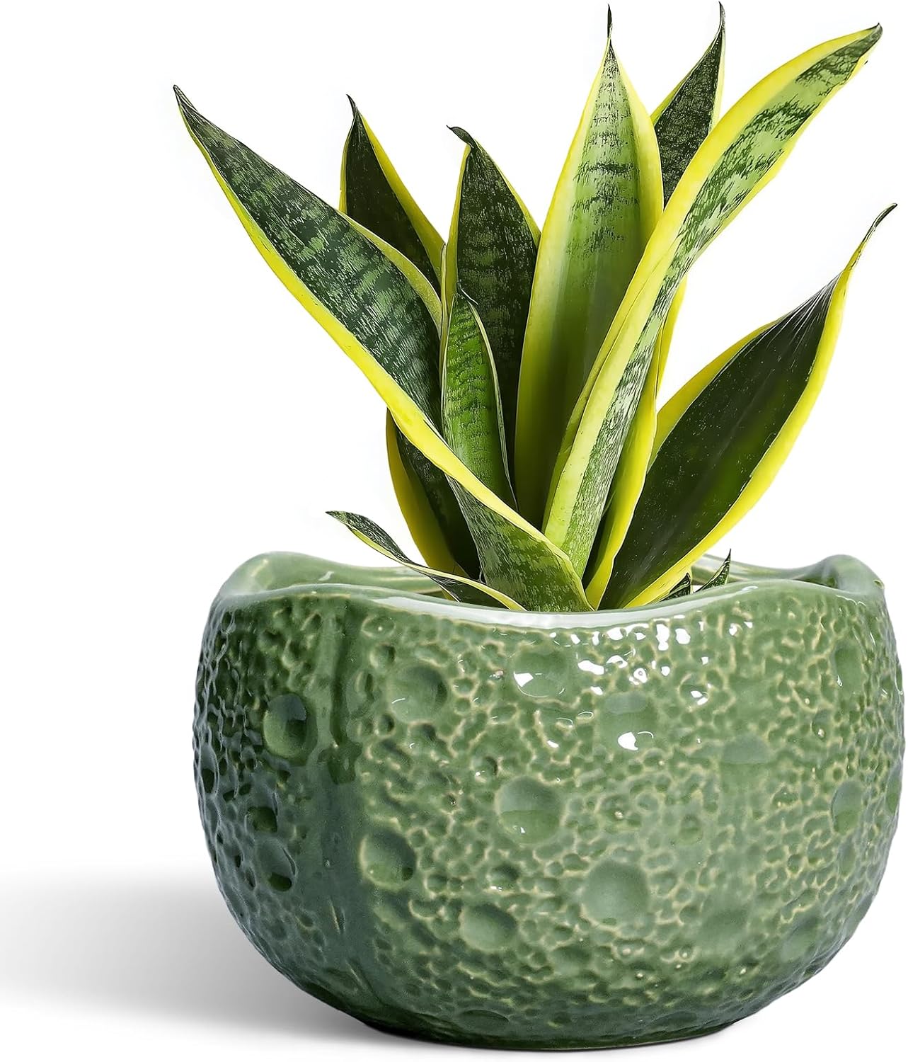 8 Inch Ceramic Plant Pot with Drainage for Indoor Outdoor Use