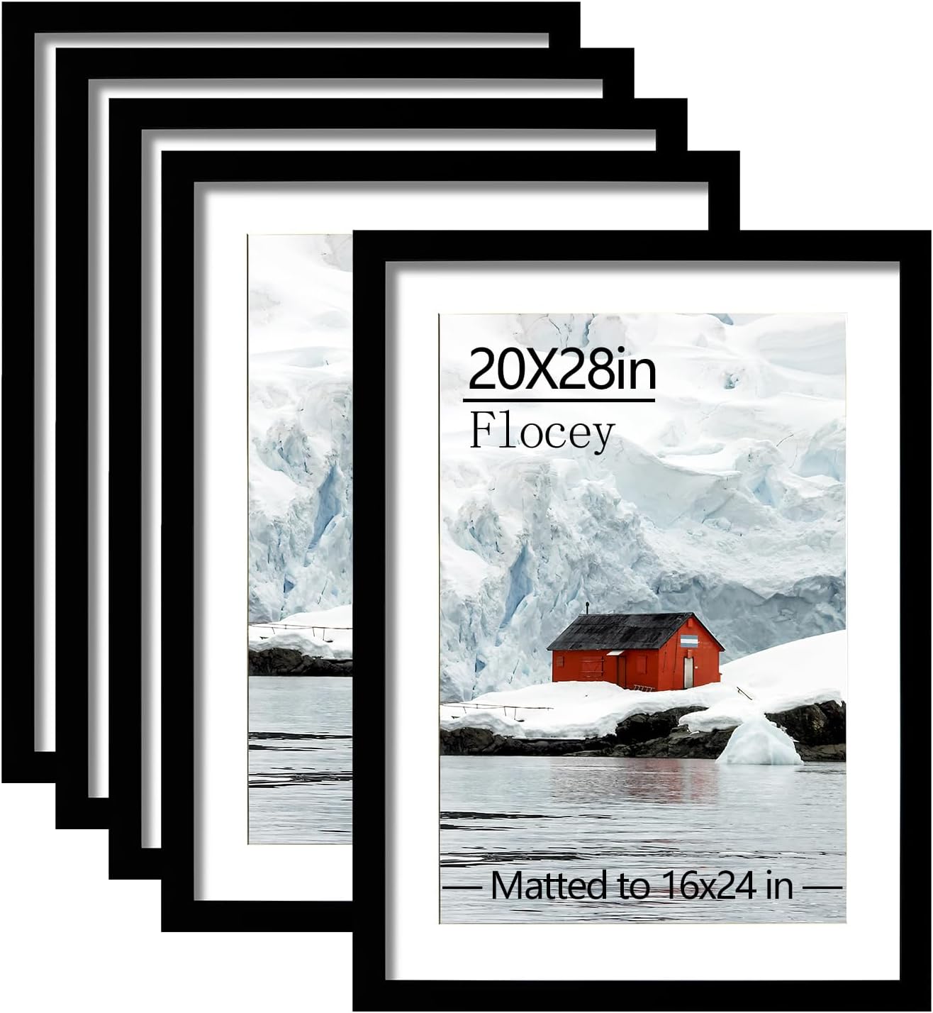 20x28 Picture Frame Set of 5 for Horizontal or Vertical Display