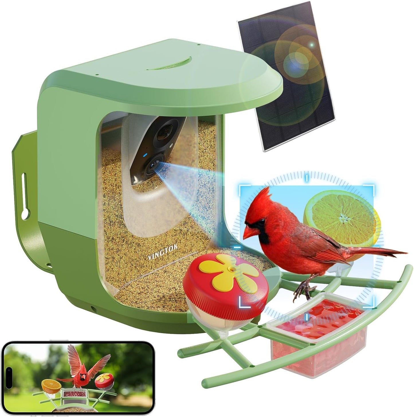 Solar-Powered Smart Bird Feeder: Full HD, AI Camera