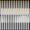 8.5 in LED Flameless Taper Candles 50 Pack - Bulk Wedding Table