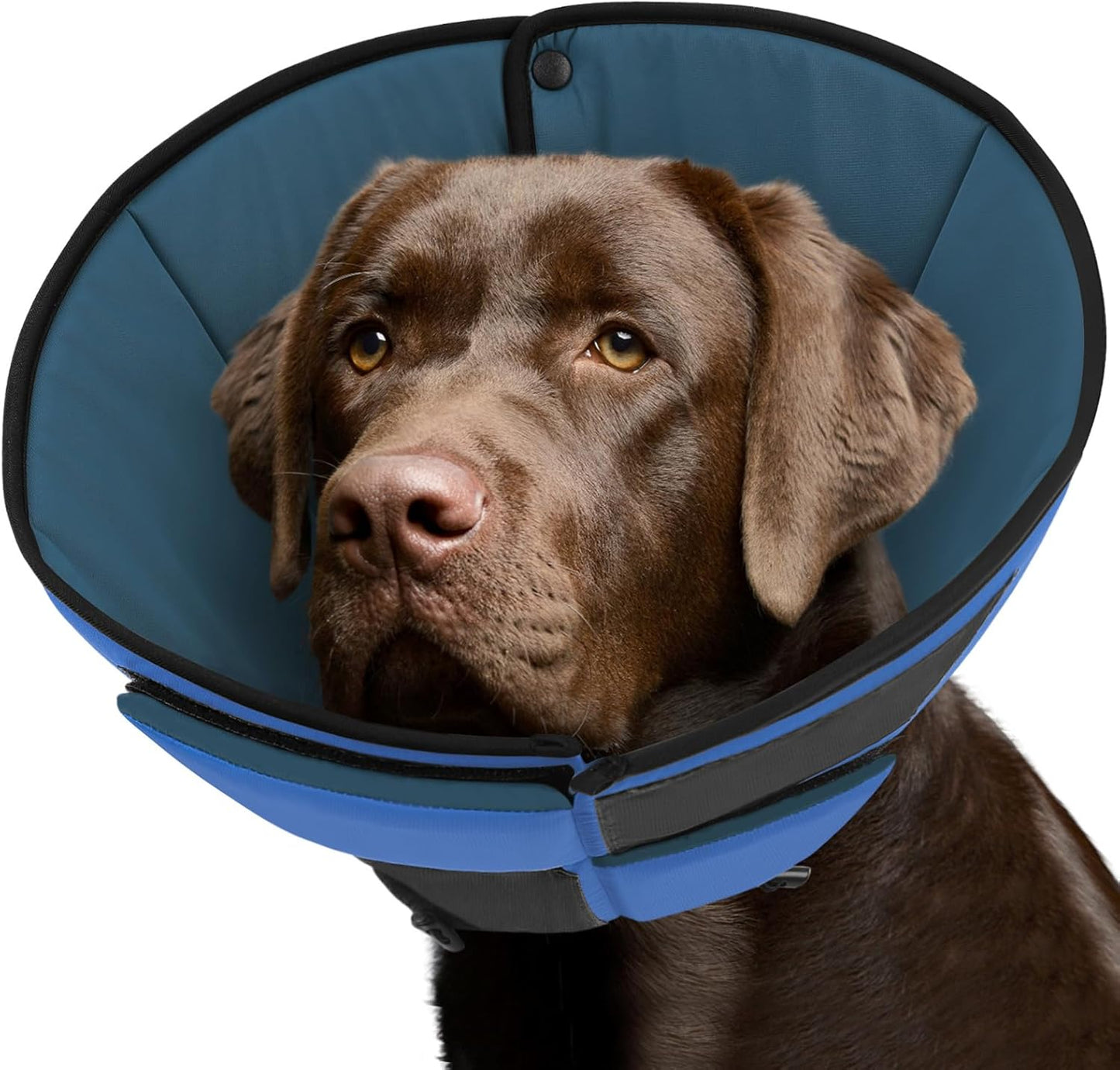 Queenmore Dog Cone XL - Soft Recovery Collar for Large Dogs