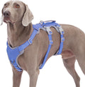 Escape Proof Dog Harness No Pull Reflective Vest - Secure Control