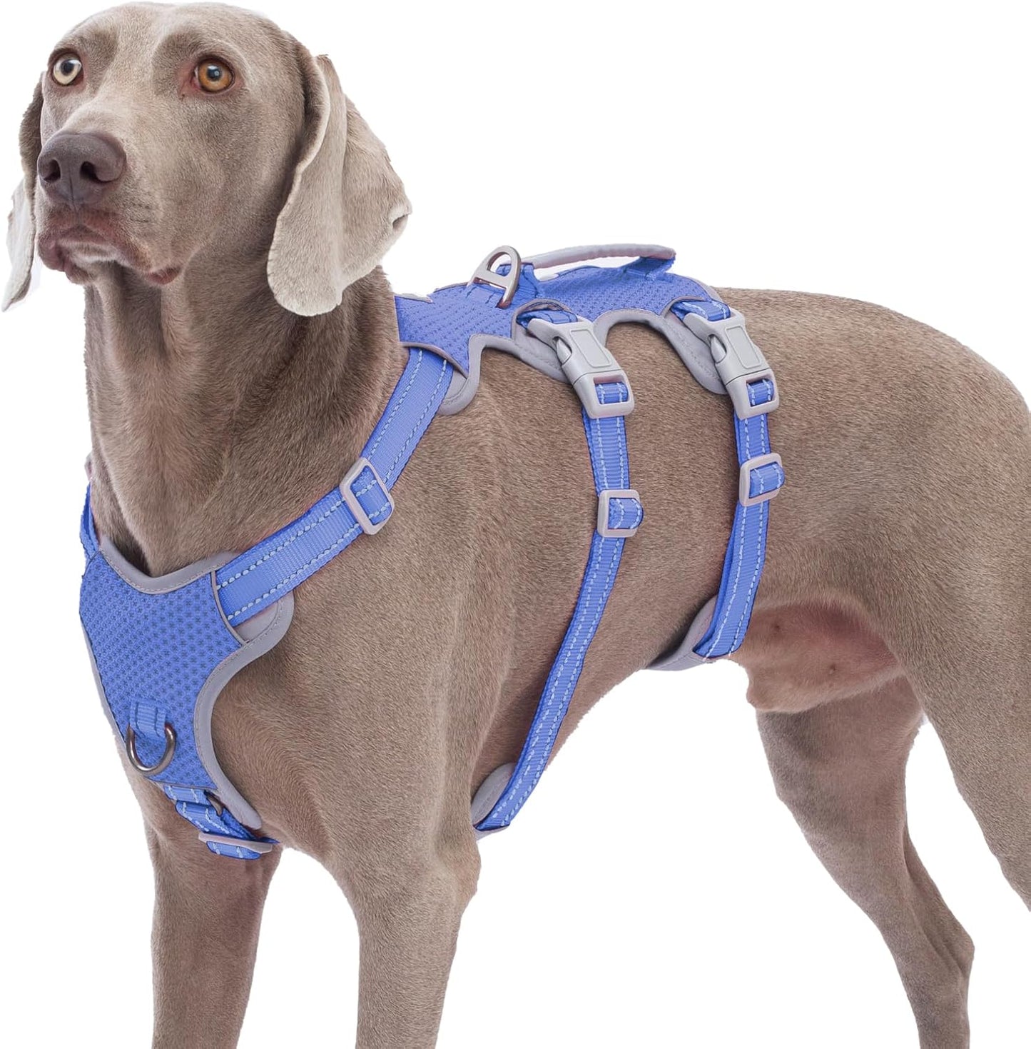 Escape Proof Dog Harness for Safe and Comfortable Walks