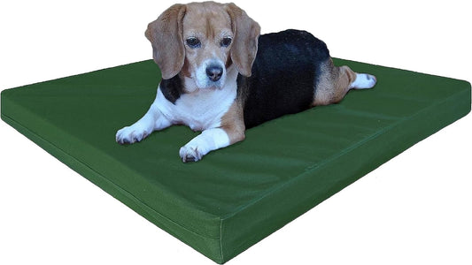 Orthopedic Gel Infused Memory Foam Dog Bed for Ultimate Comfort